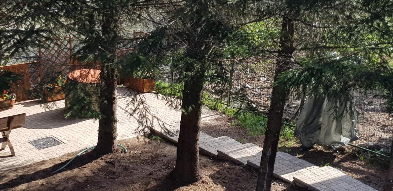 Villa Sezatoarea Lupilor à Lepşa Extérieur photo