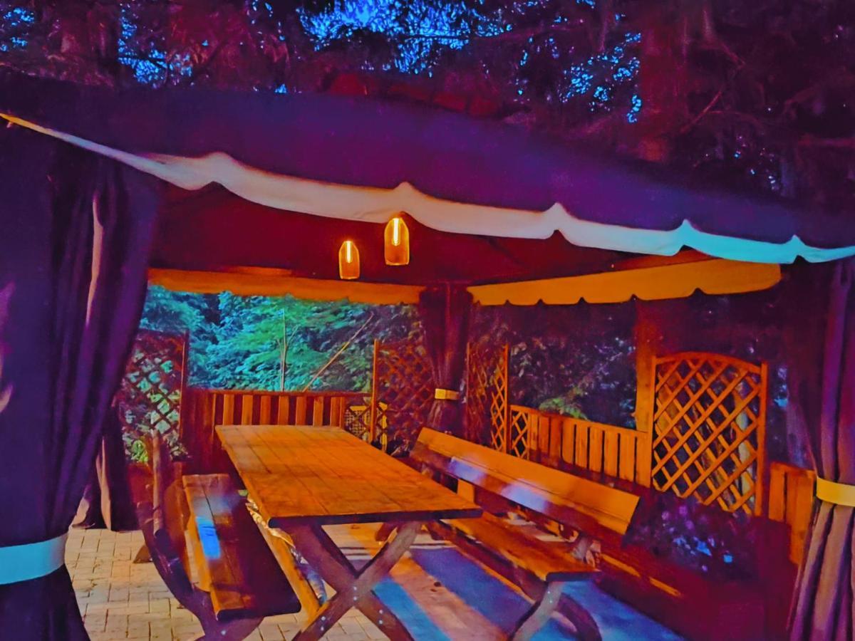 Villa Sezatoarea Lupilor à Lepşa Extérieur photo