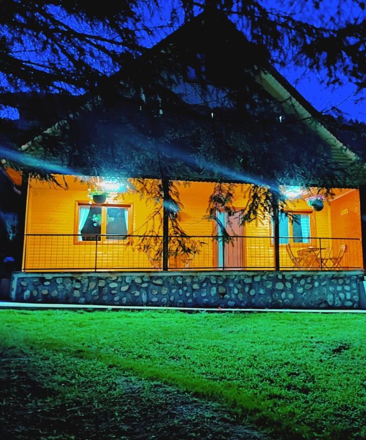 Villa Sezatoarea Lupilor à Lepşa Extérieur photo