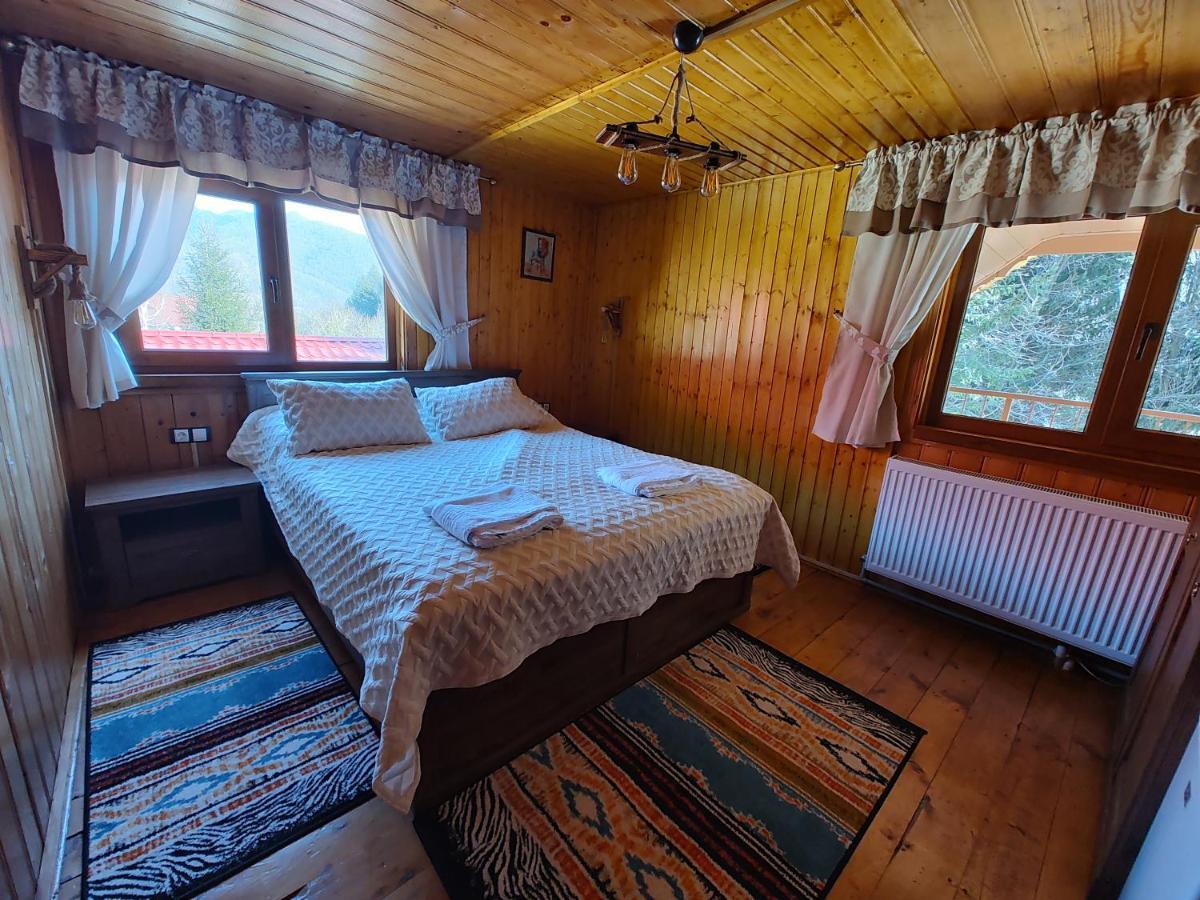 Villa Sezatoarea Lupilor à Lepşa Extérieur photo