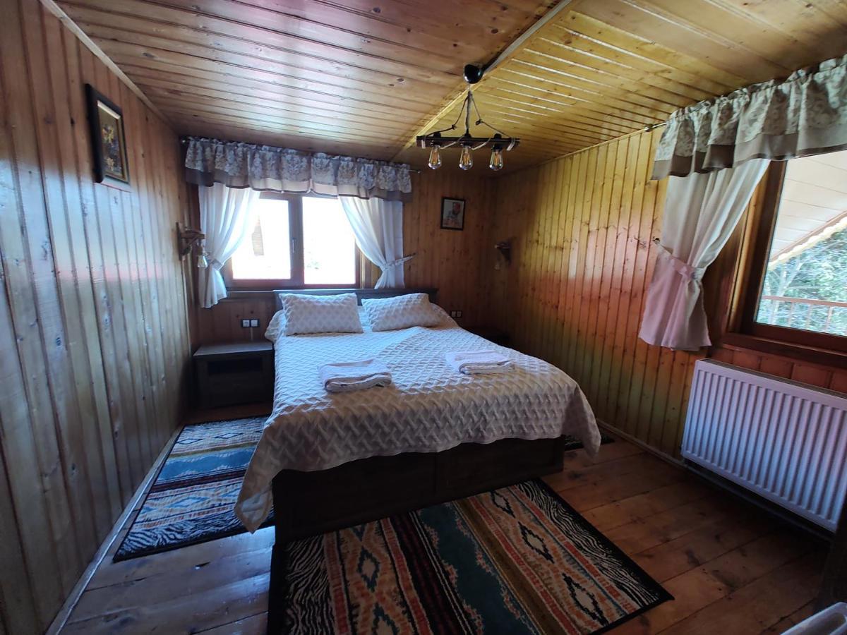 Villa Sezatoarea Lupilor à Lepşa Extérieur photo