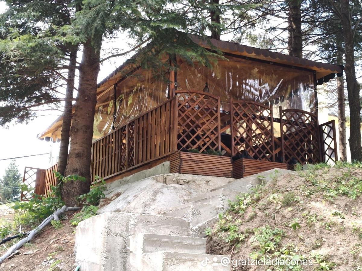 Villa Sezatoarea Lupilor à Lepşa Extérieur photo