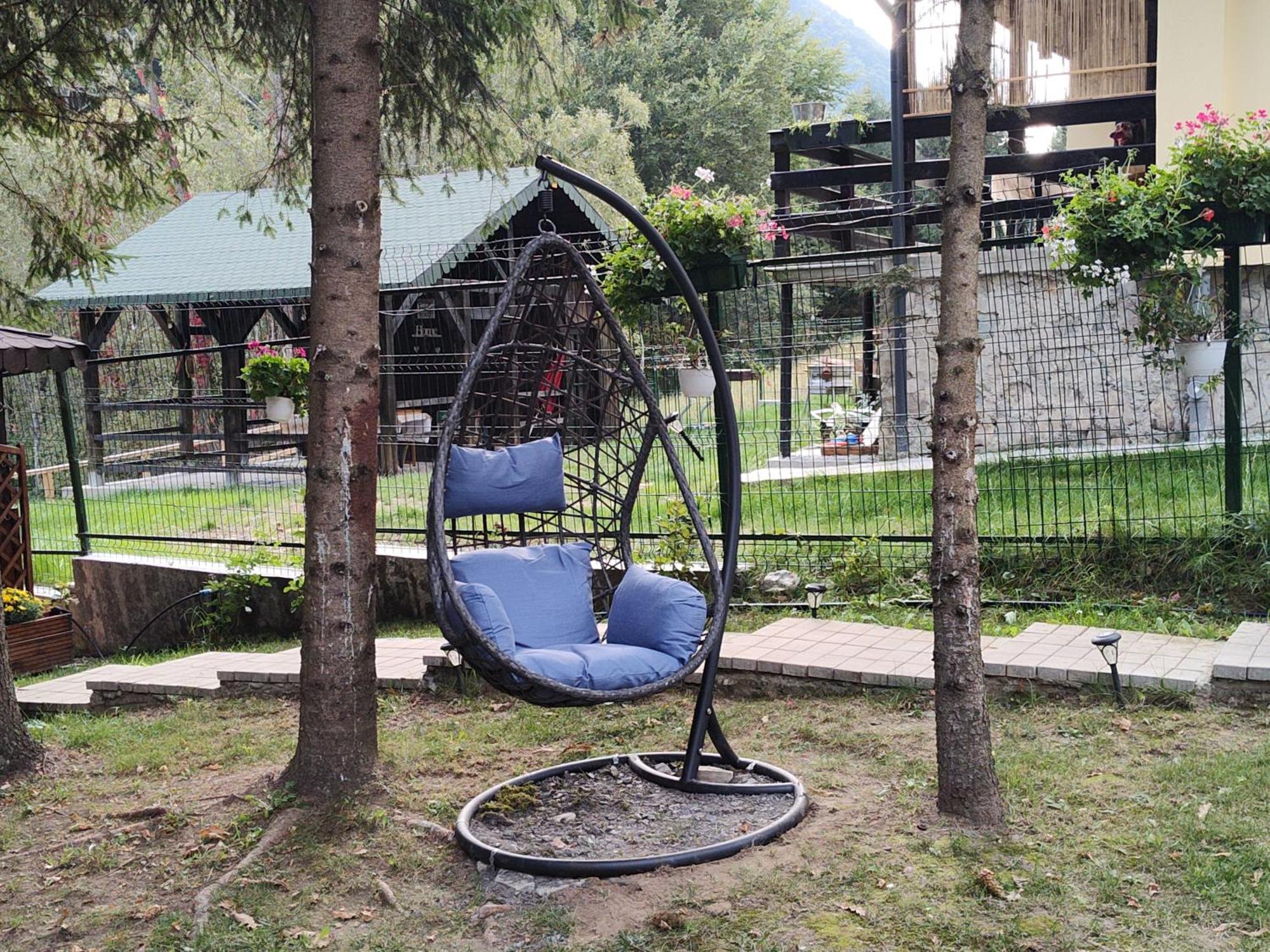 Villa Sezatoarea Lupilor à Lepşa Extérieur photo